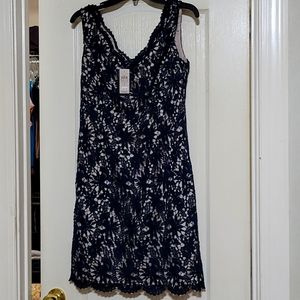 Ann Taylor Dress Navy NWT